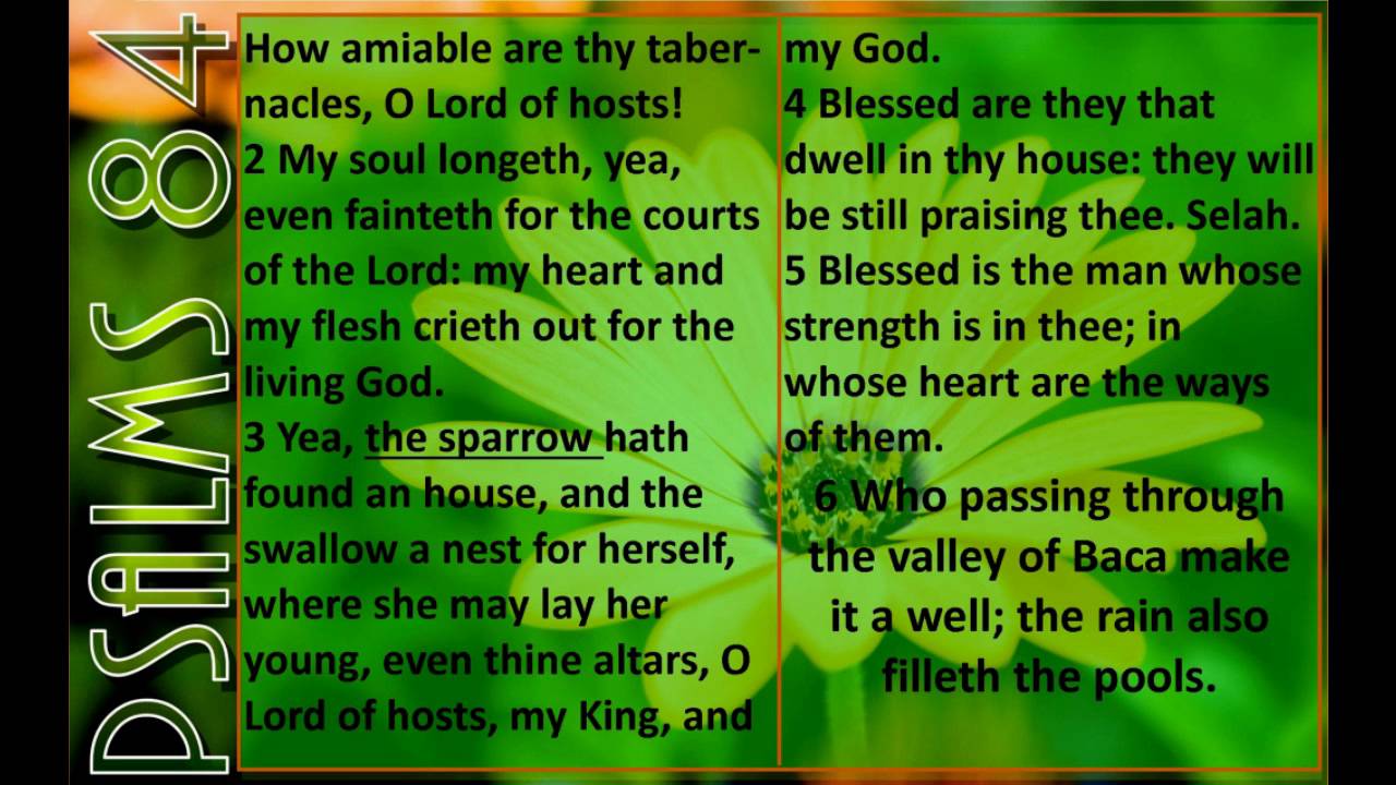 Psalms 81-- 85
