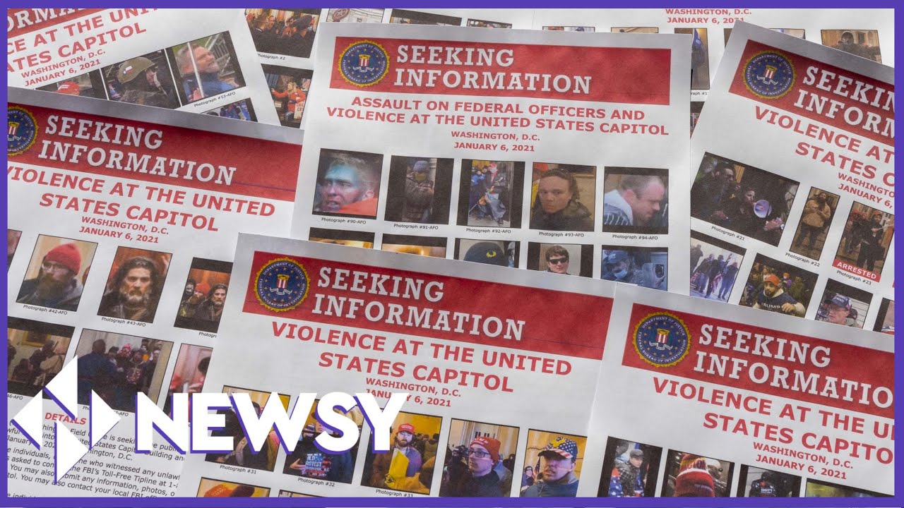 Online Sleuths Relentlessly Track Down Jan. 6 Insurrectionists