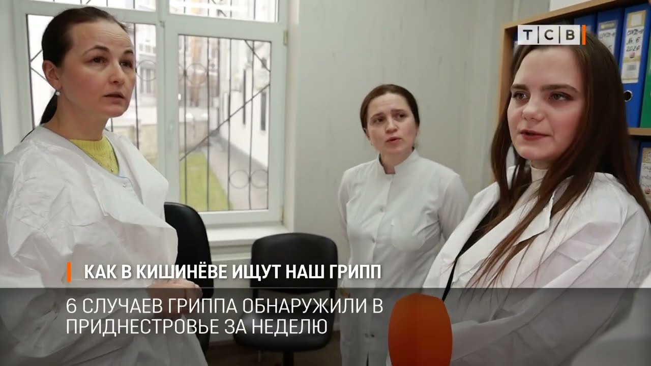 Как в Кишинёве ищут наш грипп