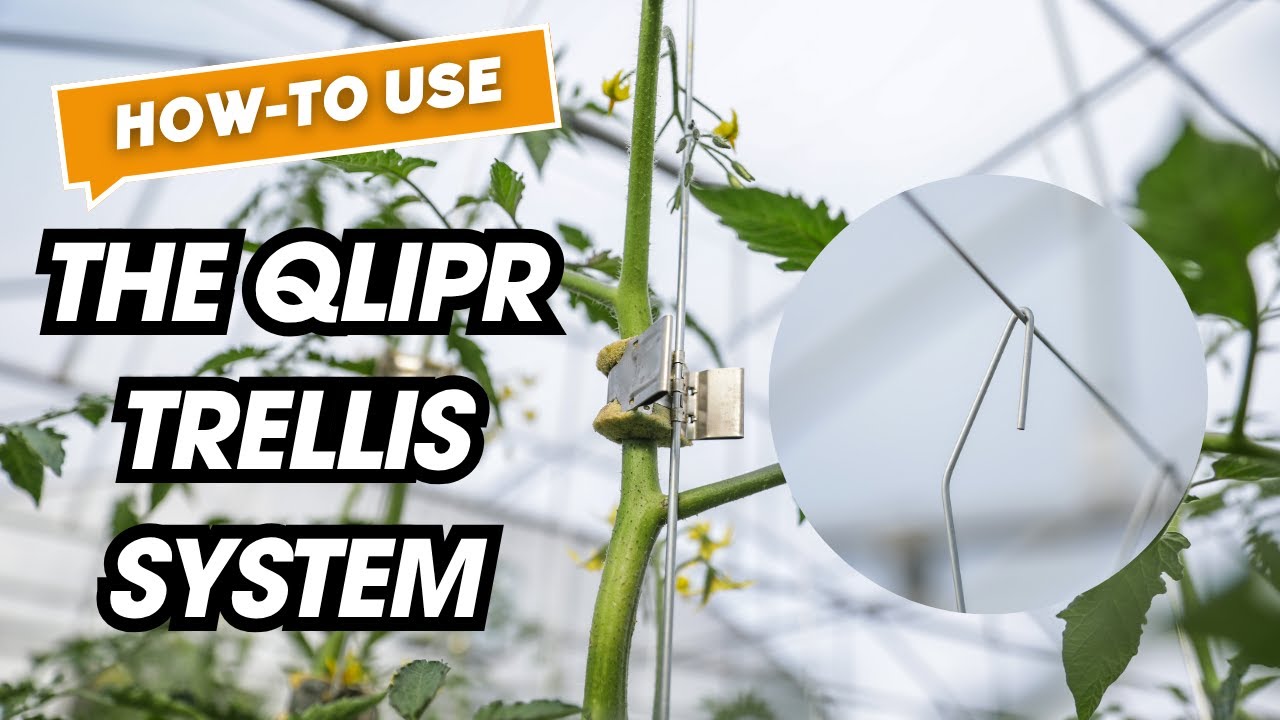 How to Use the QLIPR Trellising System