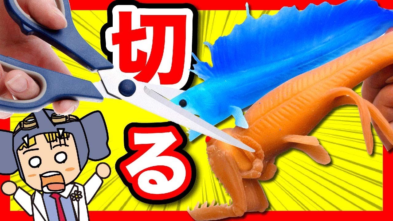 お腹の中の食べものを調査せよ！謎の海洋生物を切っちゃいます！【オーシャンアタック】【はんちゃんラボTV】
