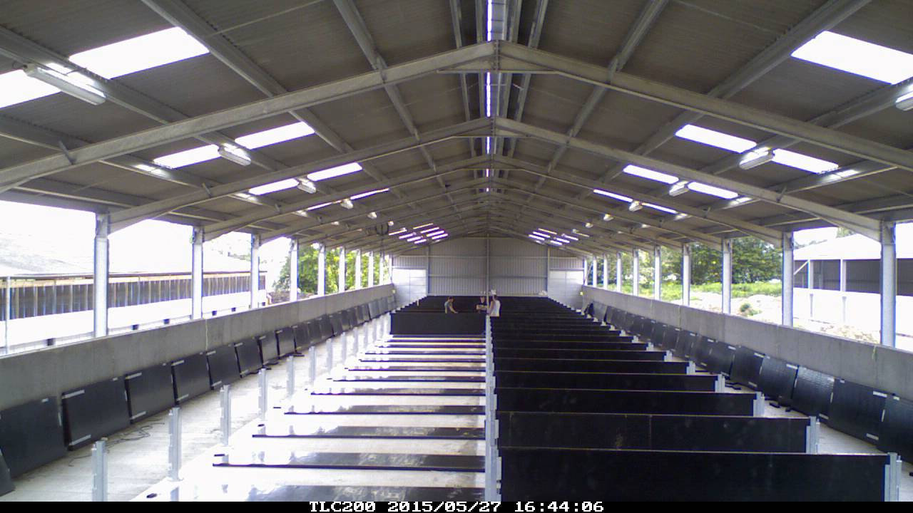 Fitting pens and gates in a pig shed