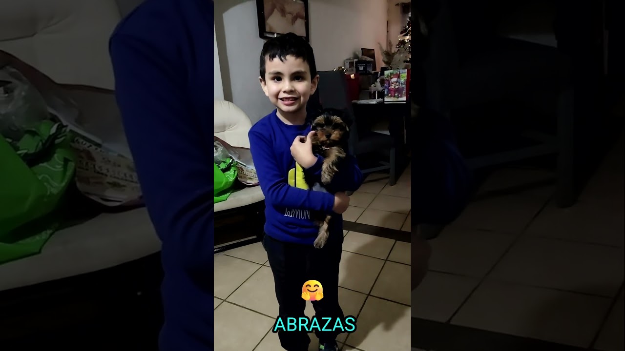12 de marzo de 2026
