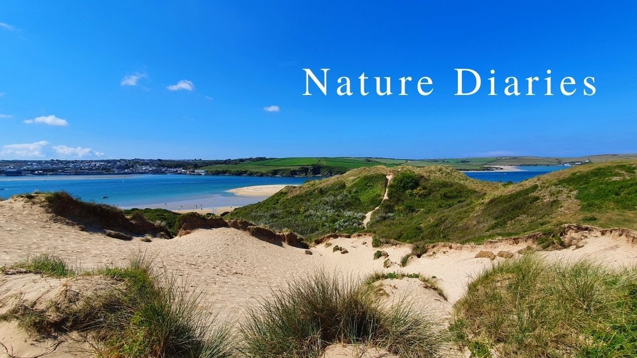 Exploring Beautiful North Cornwall Part 1 [UK Travel] - Nature Diaries