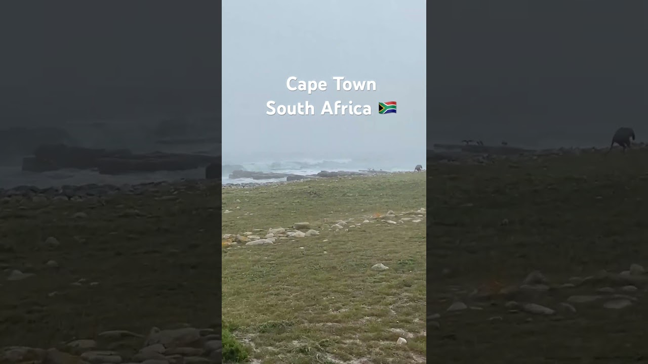 ❤️Cape Town South Africa 🇿🇦 #hiking #capetowntourism #africancity #capetownadventure #capetown