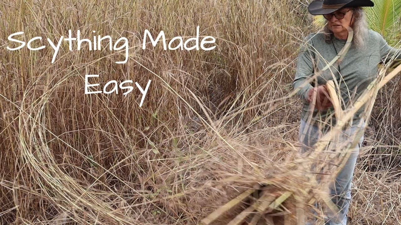 Using a Scythe to Cut Tall Clumping Grass