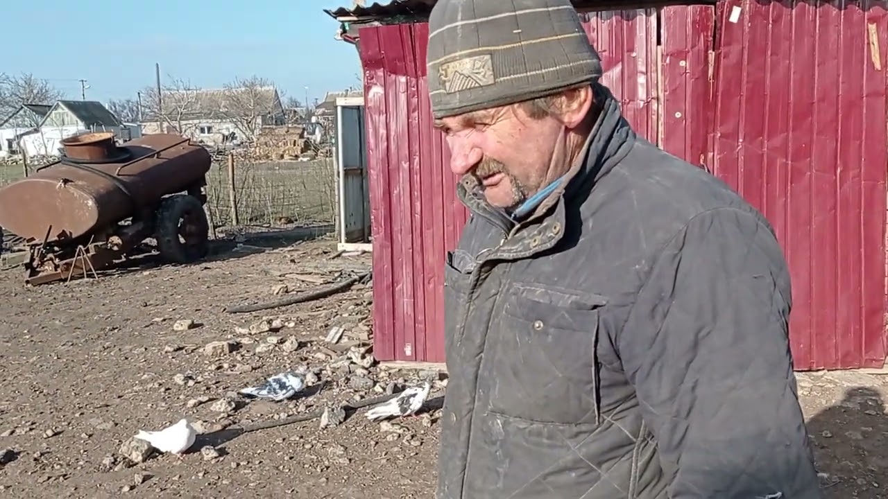 Миколаївські голуби ,-  Бунчук.Ю.Г.