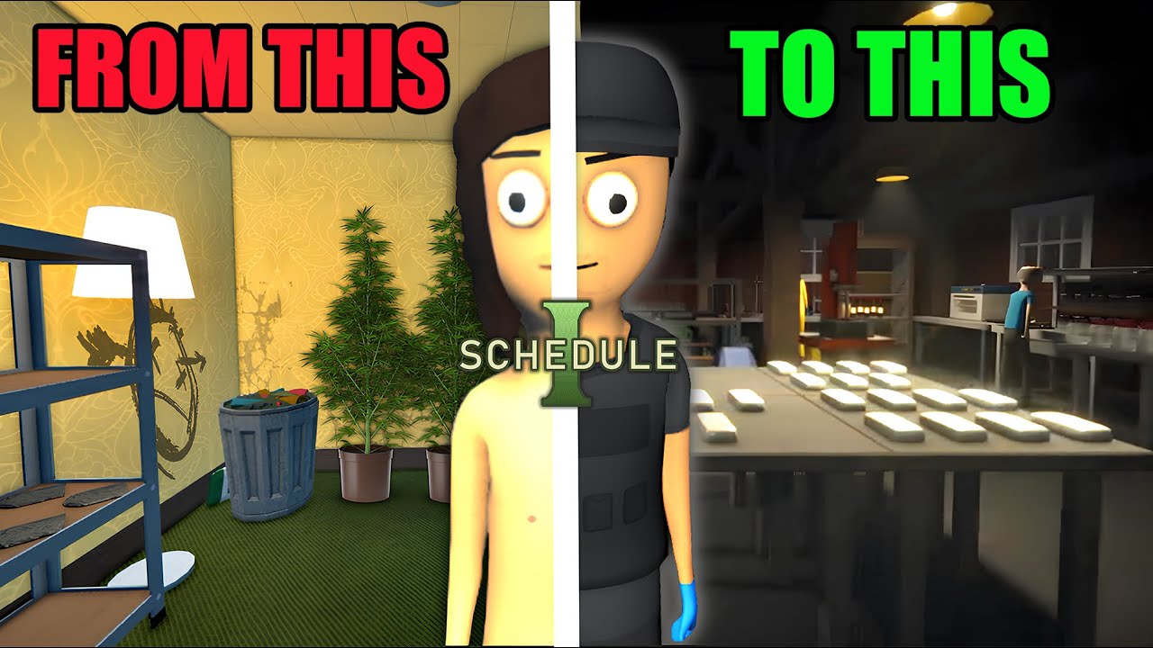 From Broke to Bricks: The Rise of Schedule 1