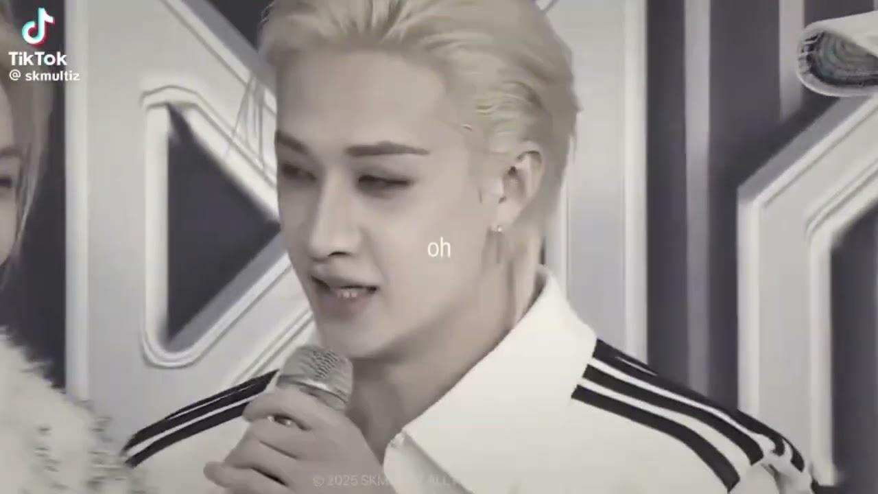 Stray Kids TikTok Compilation #2