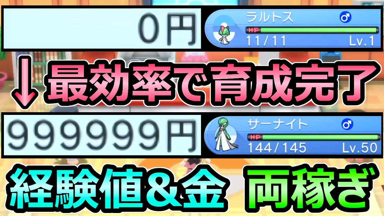 【ダイパリメイク】最効率で育成 金策&経験値 両稼ぎ バグなしで毎日可能 100万円+レベル50UP【ポケモンBDSP】