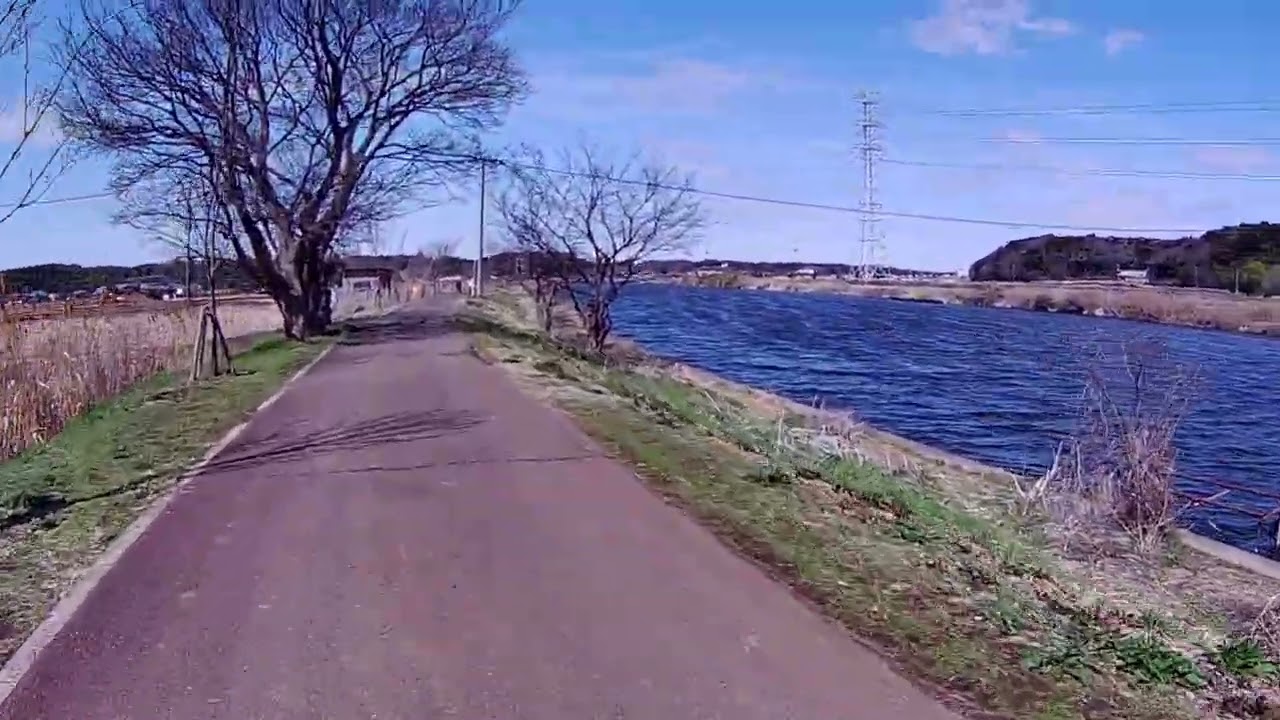 ダメだこりゃ_20260307
