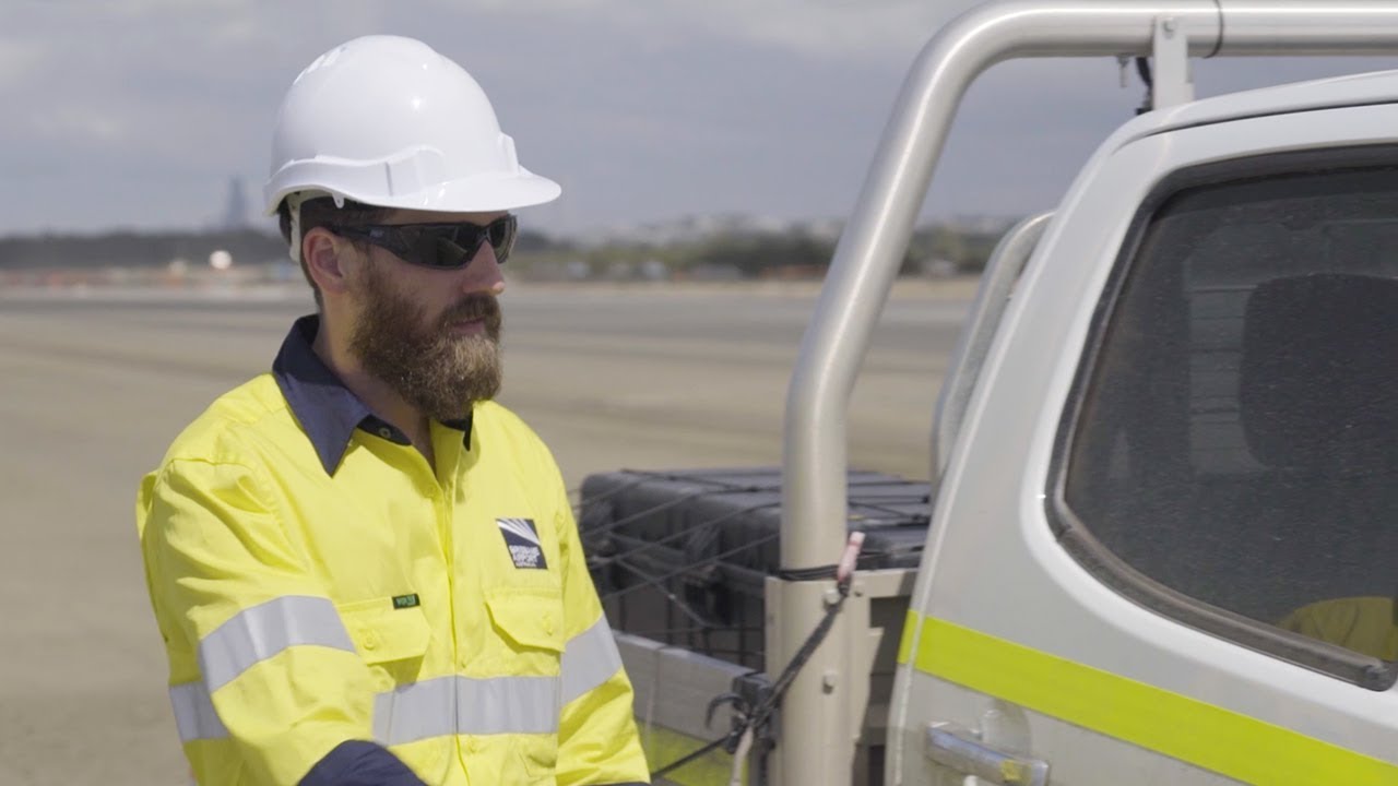 What happened to the trees that were removed for Brisbane's new runway?