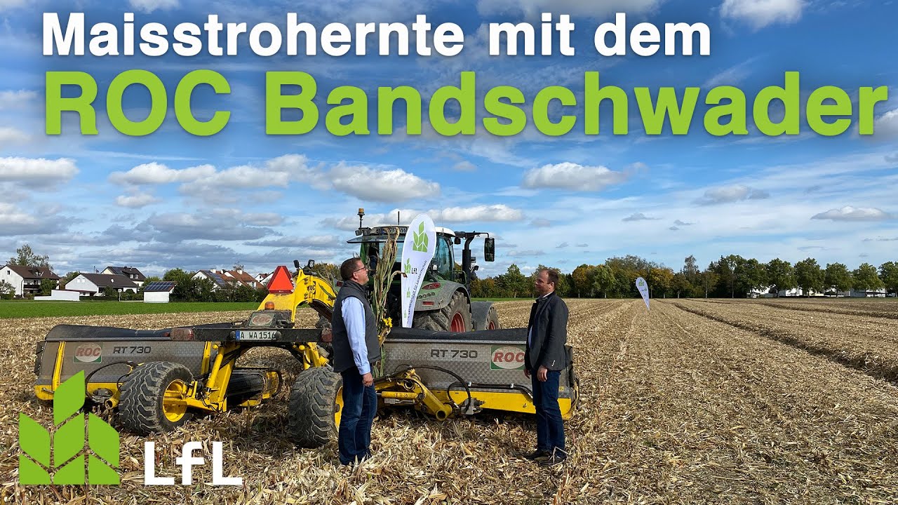 Maisstroh schwaden mit dem ROC Bandschwader