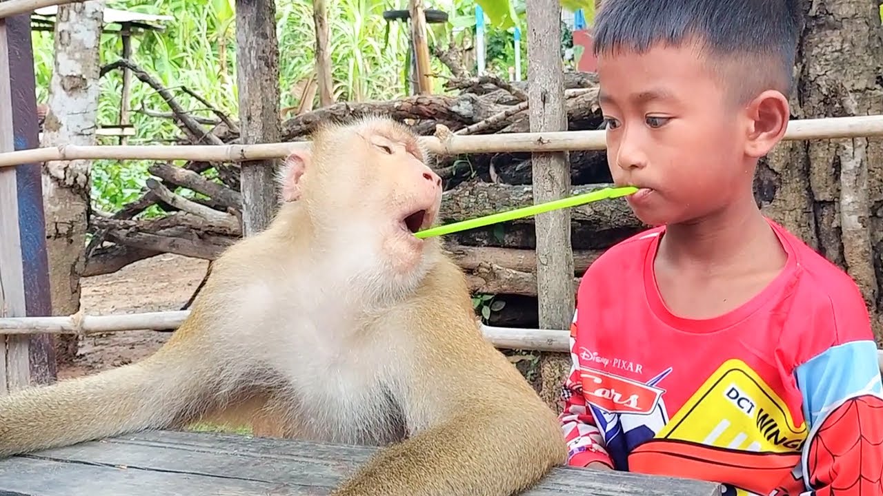 Abii Shares Food with Adorable SokYaa - Most HEARTWARMING Friendship You'll Ever See