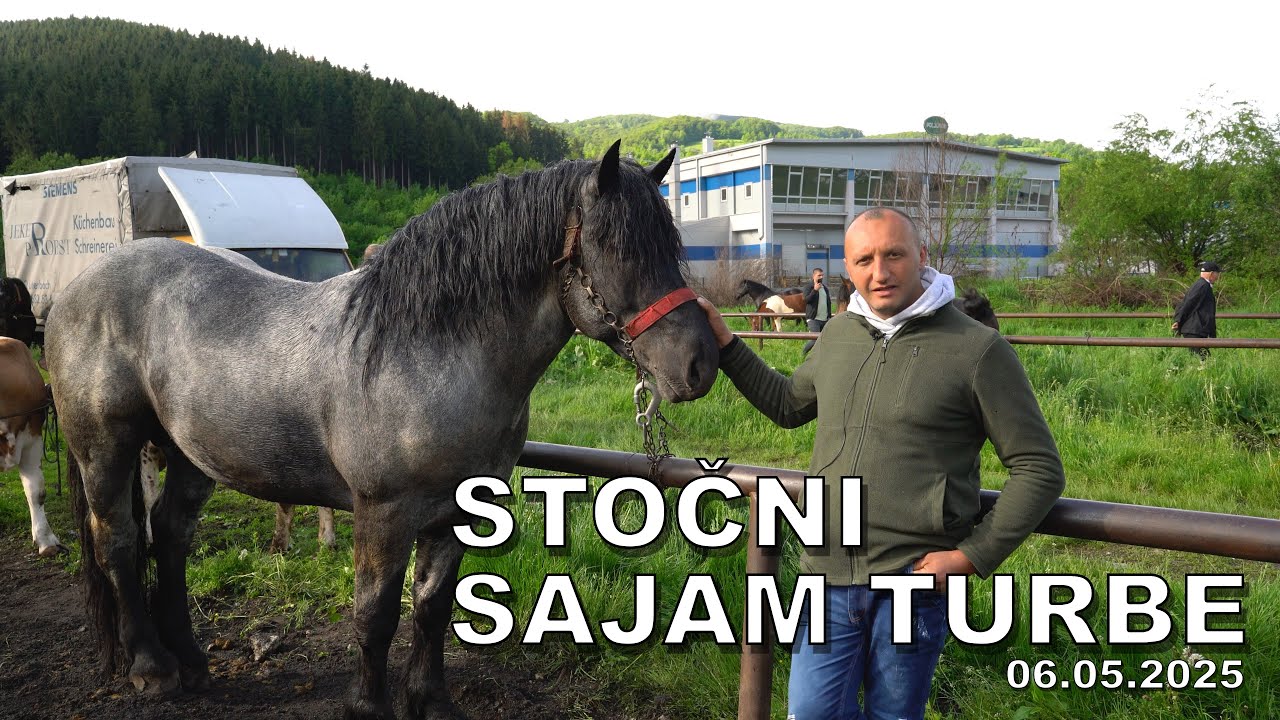 Stočni sajam Turbe 06.05.2025 - (4K)