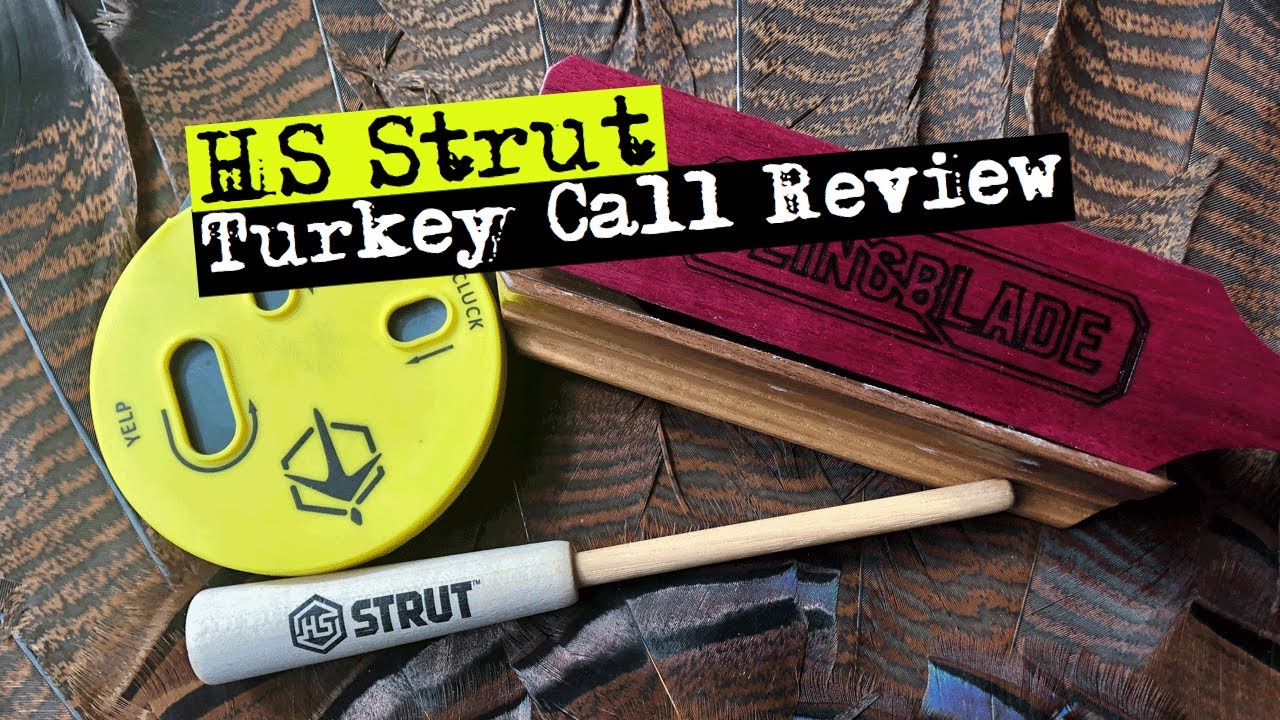 HS Strut Turkey Call Review