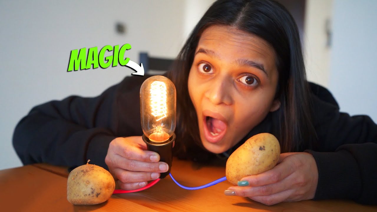 Crazy Potato Bulb Experiment 😂