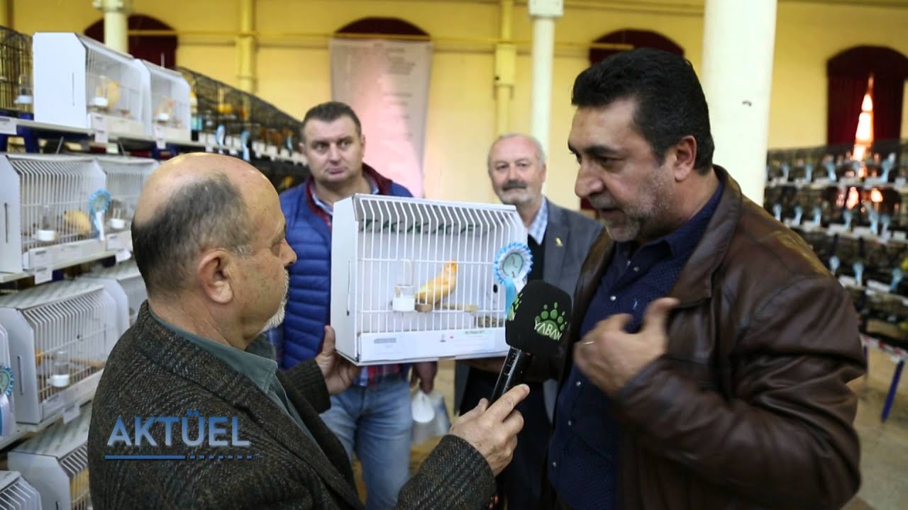 AKTÜEL 4 enternasyonel kus yarısması part 2