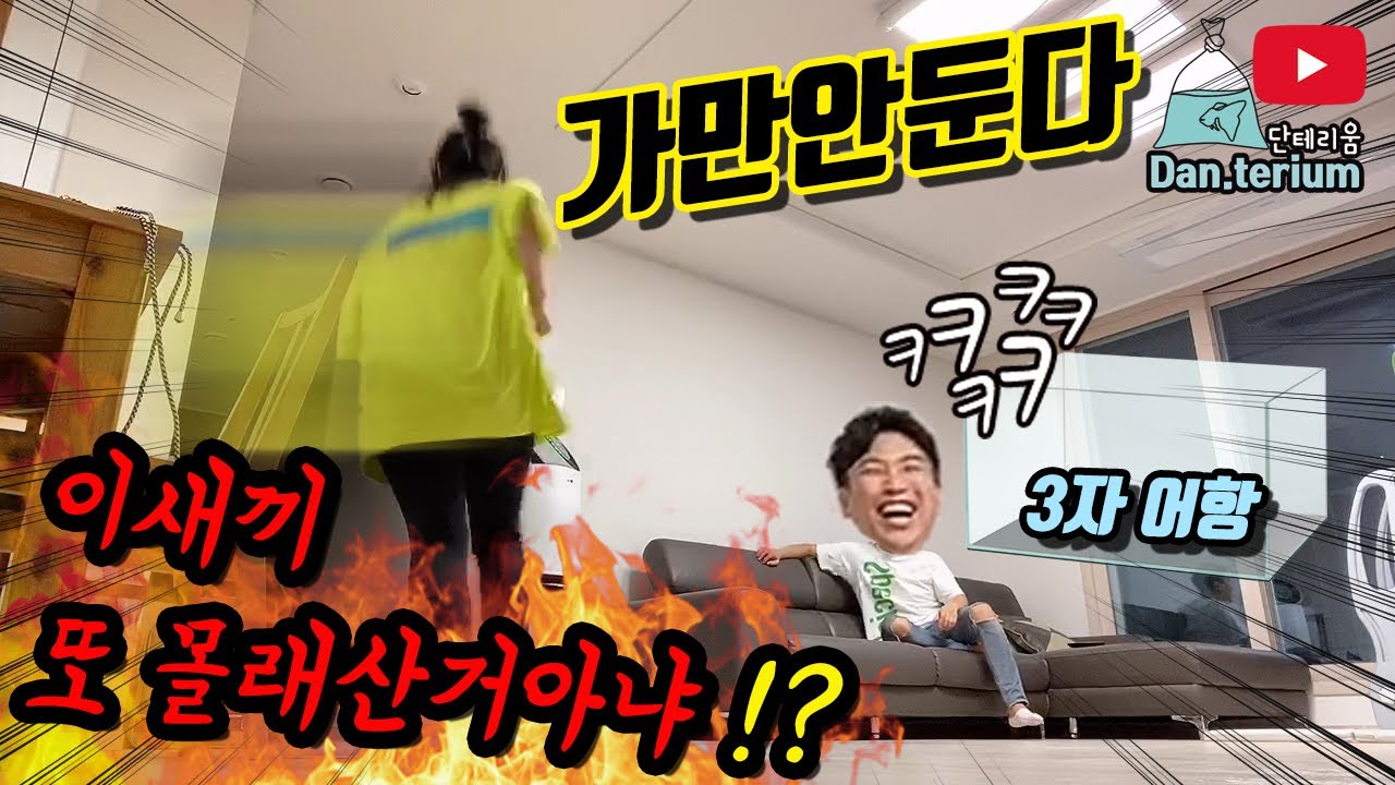 폭주하는 와이프! 어항을 또샀다고?? 3자어항? 그게뭔데? very super angry wipe! again fish tank?