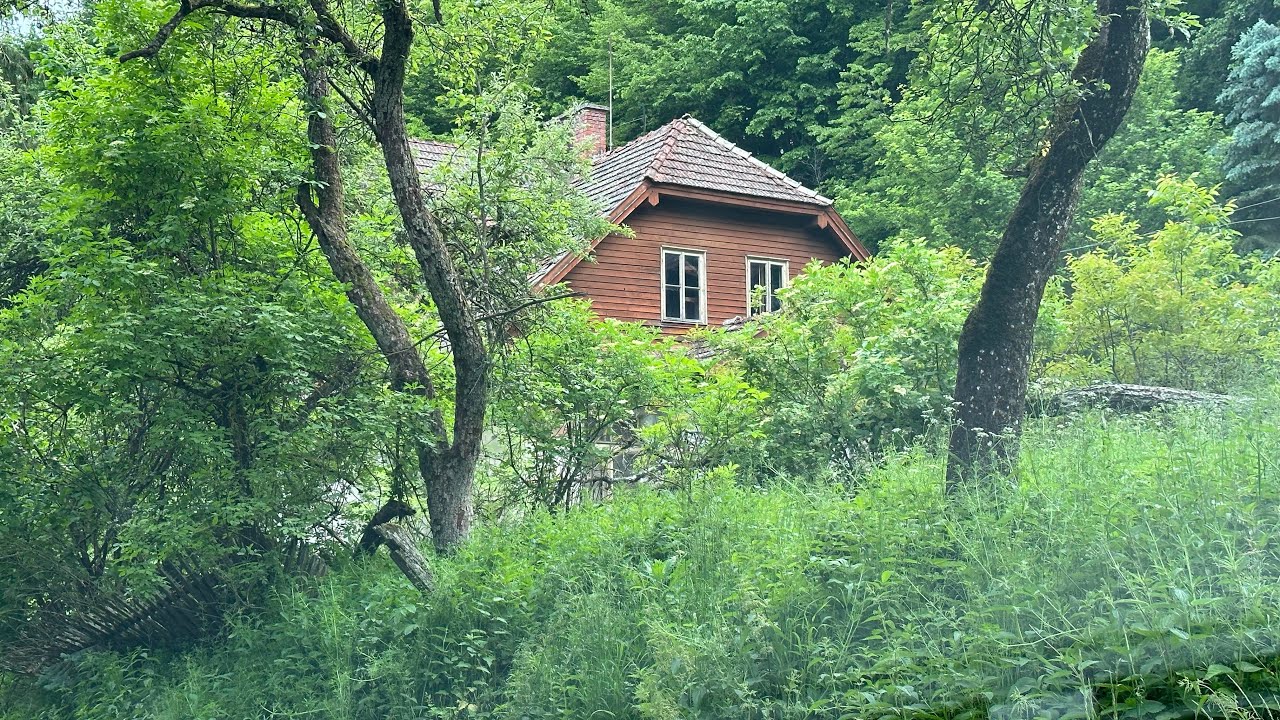 🏚️ opustený domček v širšom okolí Poľany 🇸🇰 #urbex