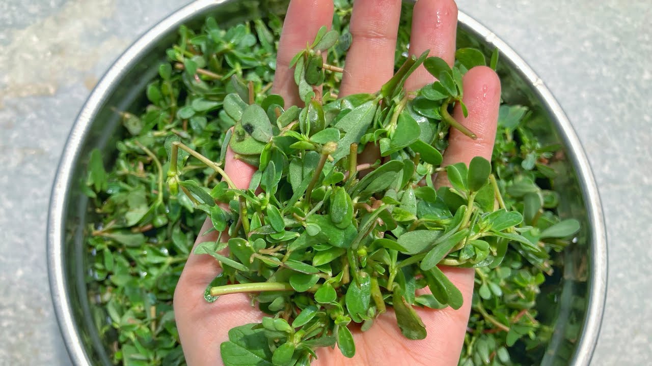 Kashmiri Nunar Recipe | Kashmiri Style Nuner | How To Cook Wild Purslane | How To Make Nunar