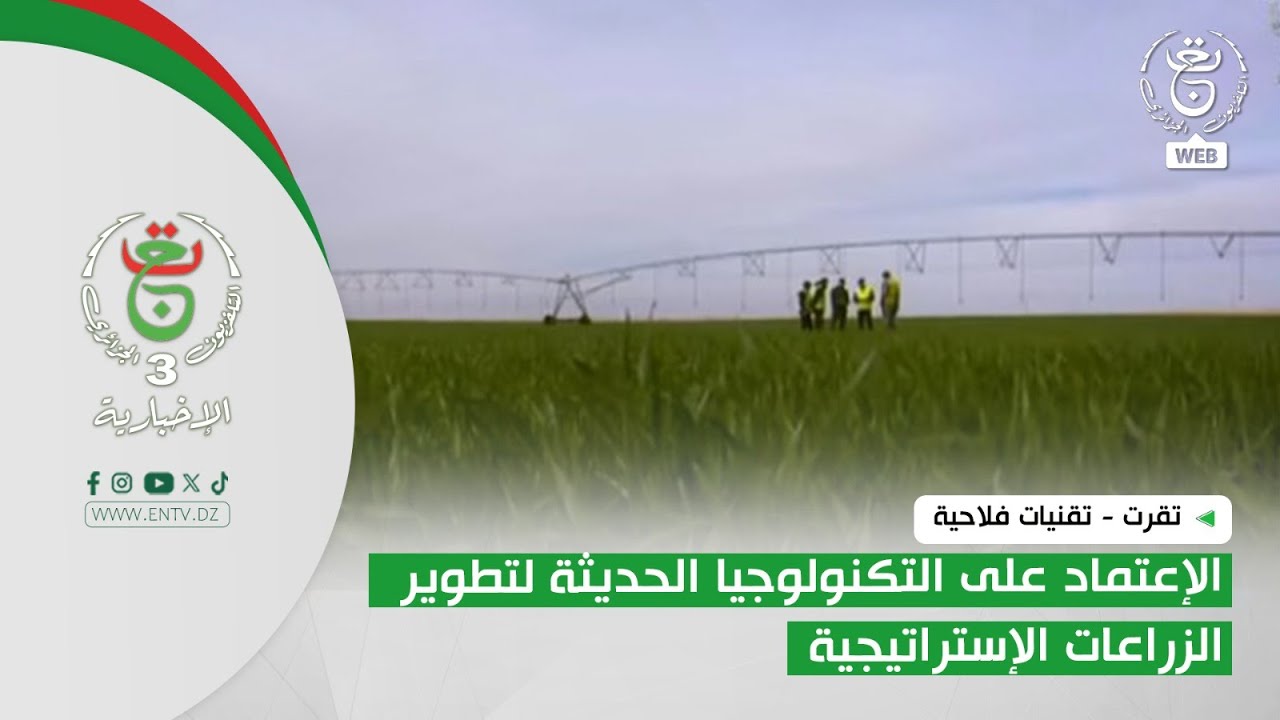 تقرت - تقنيات فلاحية | الإعتماد على التكنولوجيا الحديثة لتطوير الزراعات الإستراتيجية