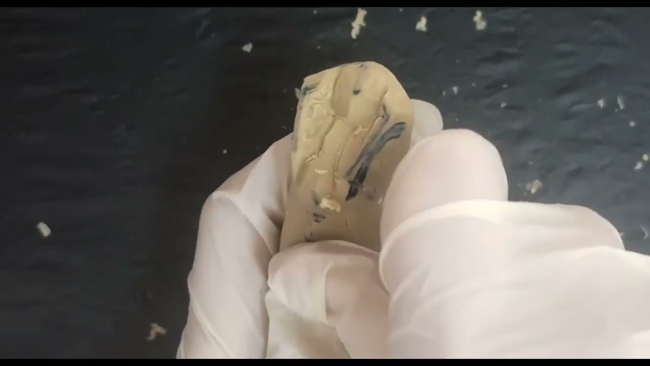 The carving of lingual structures of the maxillary canine