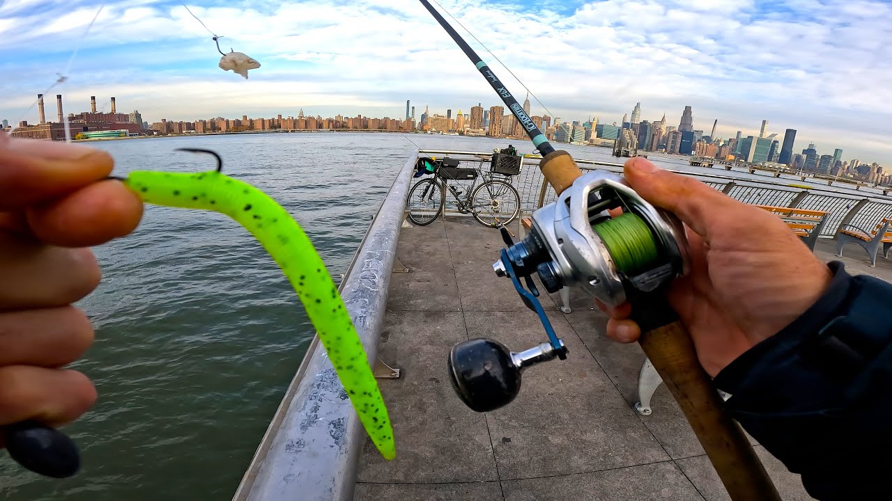 Blackfish East River Fishing NYC