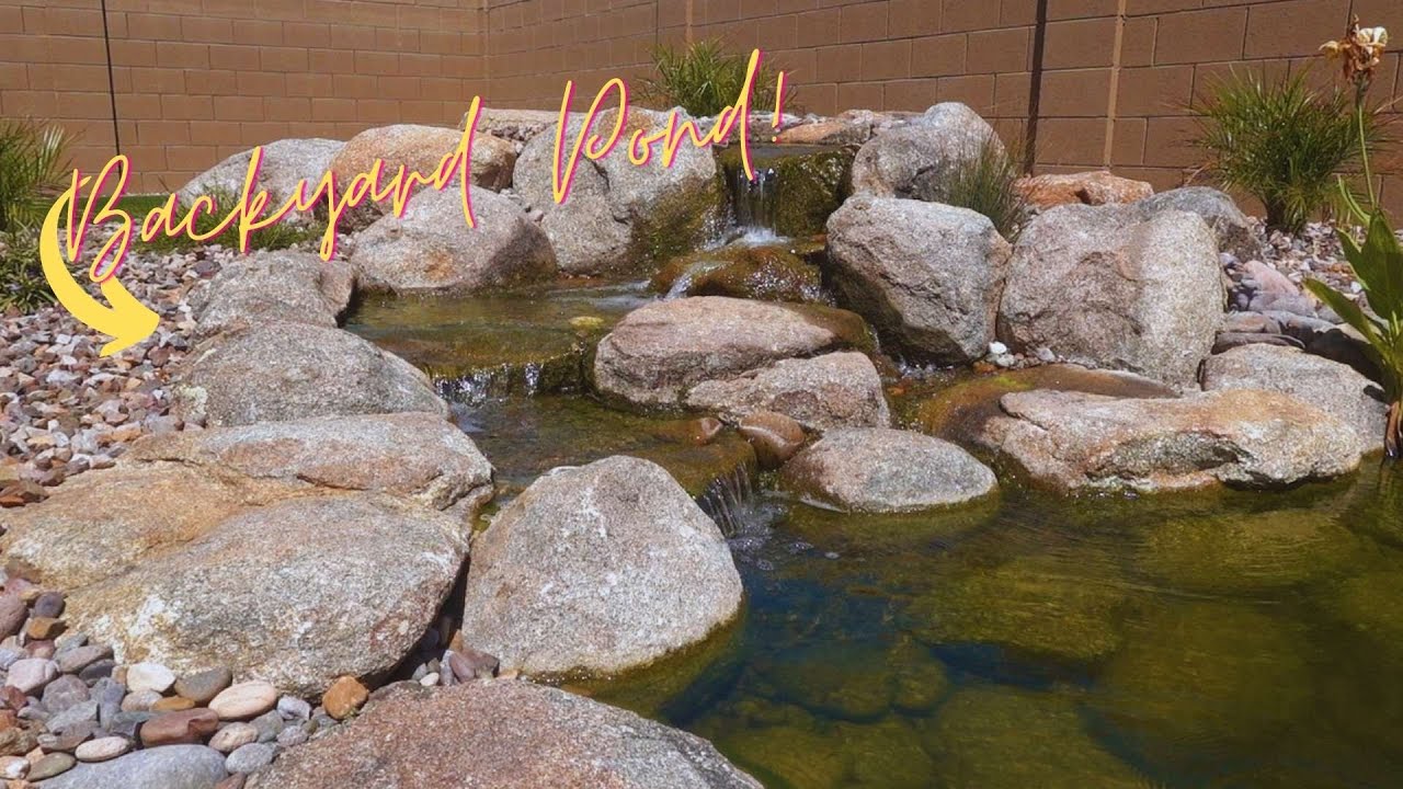 Spectacular Aquascape Ecosystem Pond in Arizona backyard.