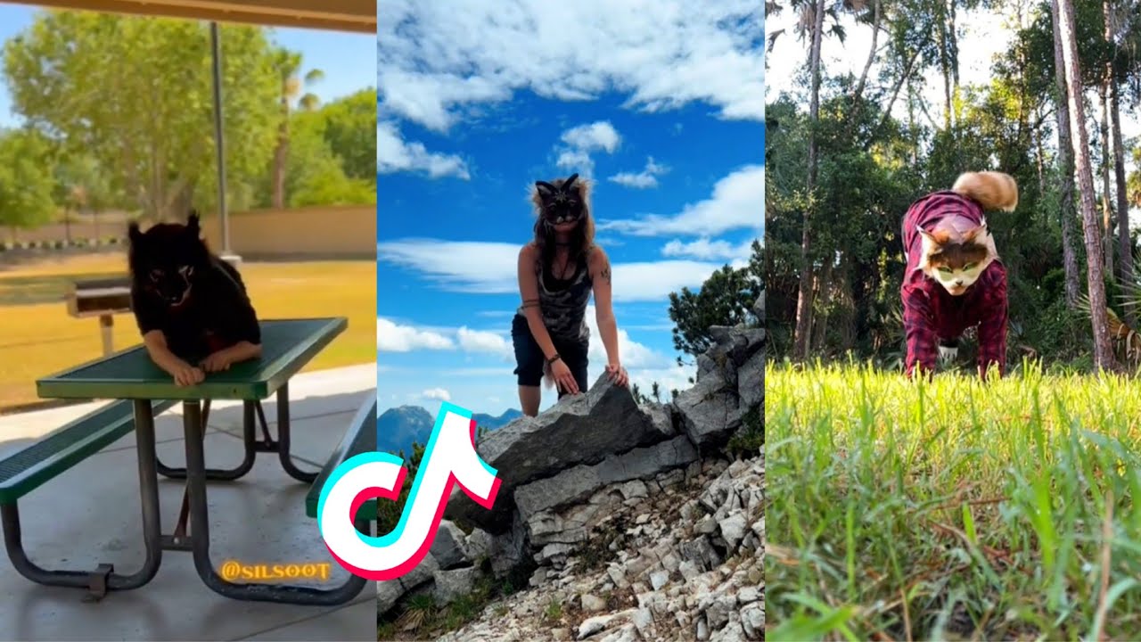 Therian and Quadrobics TikTok Compilation || Alterhumans of TikTok #29