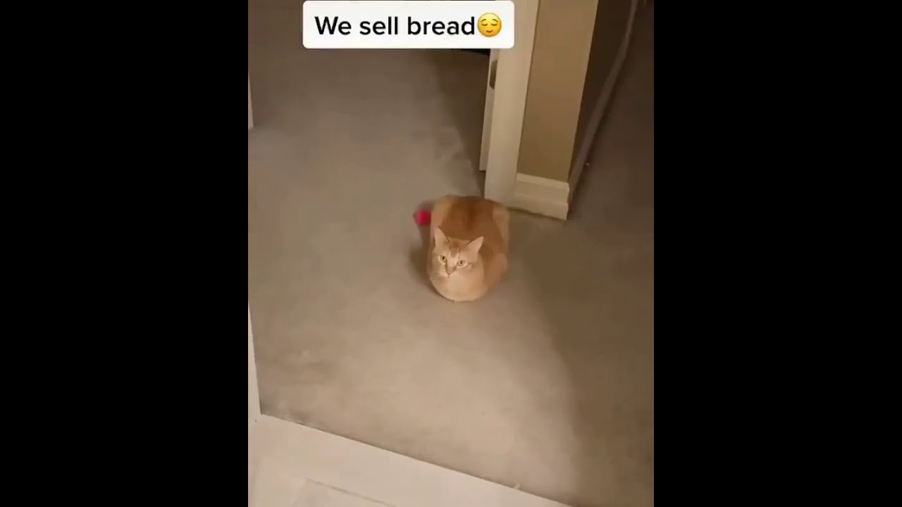 Welcome to the bread bank
