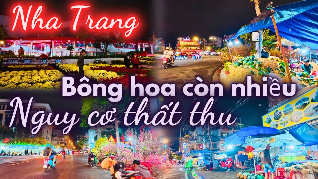 Nha Trang cận Tết , bông hoa còn nhiều . Nguy cơ thất thu , bán rất chậm 