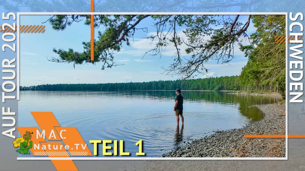 Schweden 2025 auf Tour Teil1 (Kurzversion)