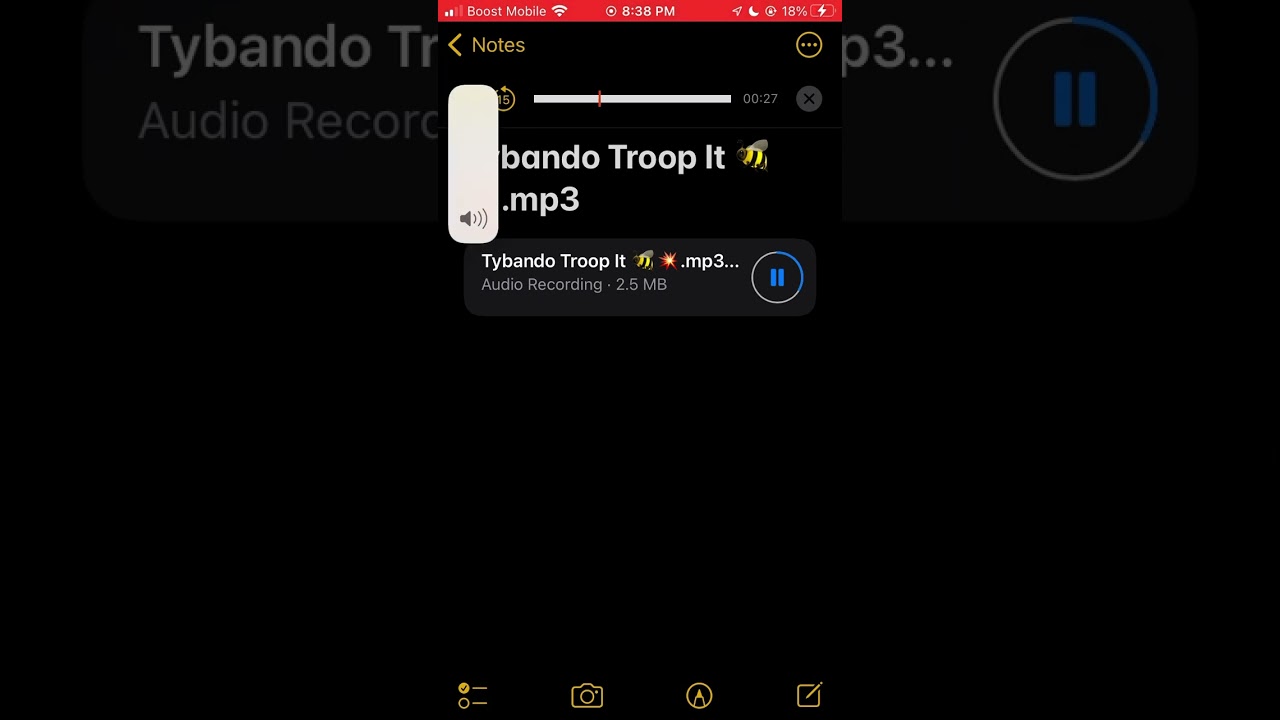 Tybando Troop it 🐝