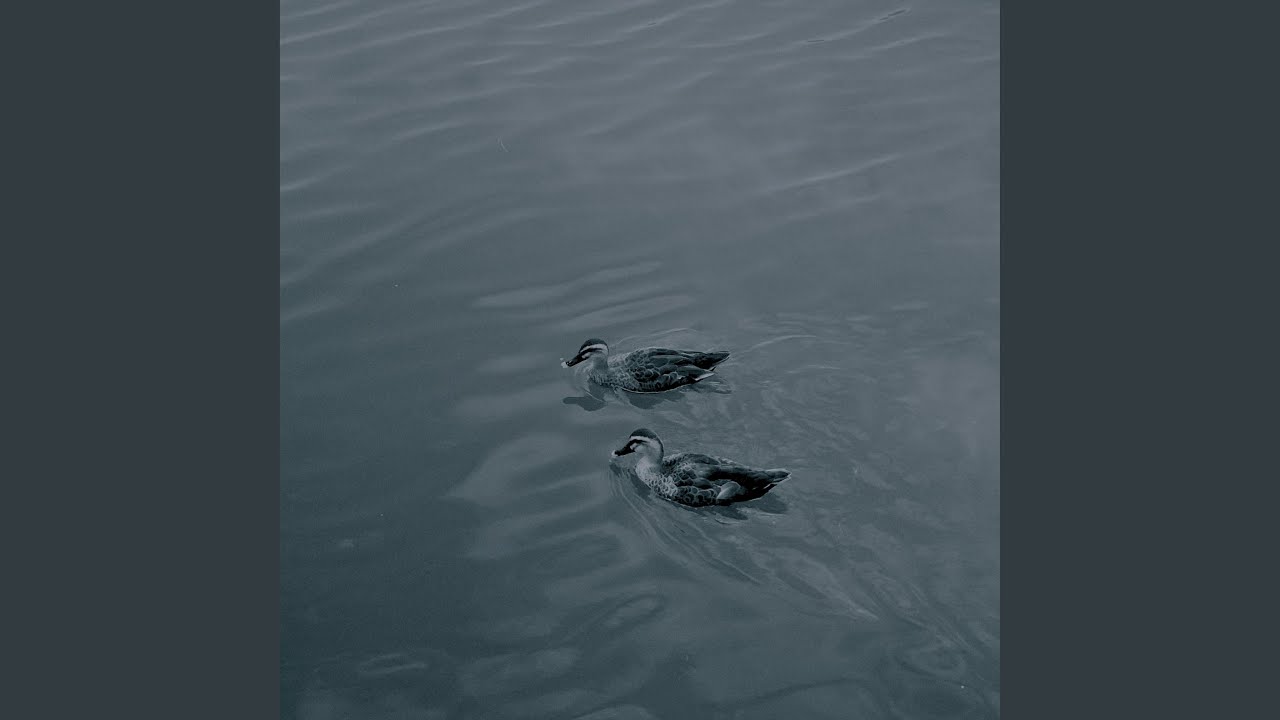 沉默的波莎露娃