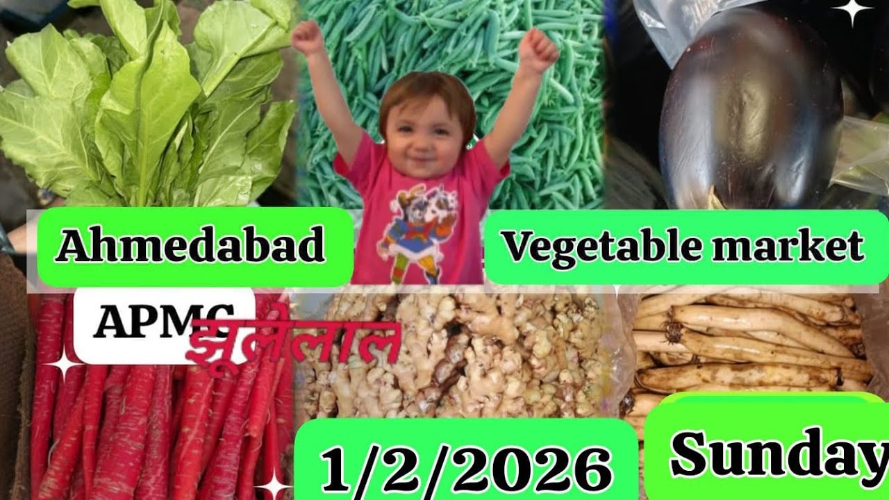 Ahmedabad vegetable market7अहमदाबाद वेजिटेबल मार्केट 7---1 February 2026