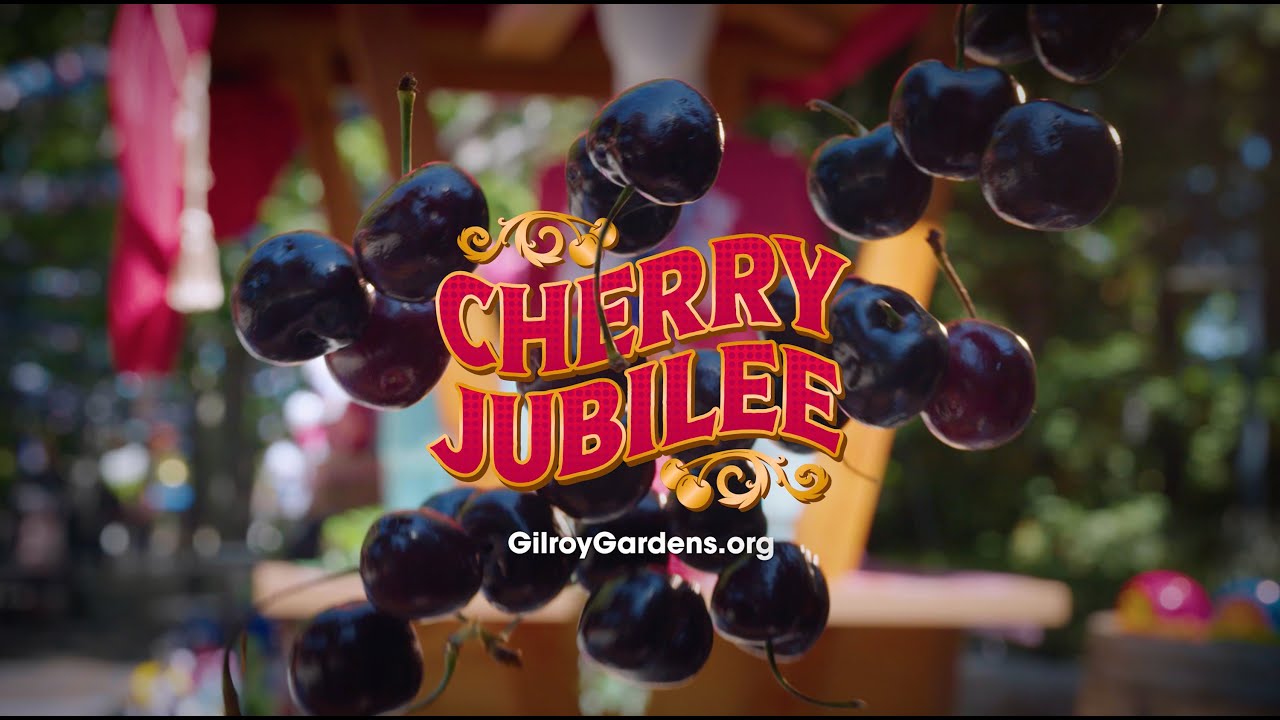 Cherry Jubilee at Gilroy Gardens | Sweet Summer Celebration 🍒🌿