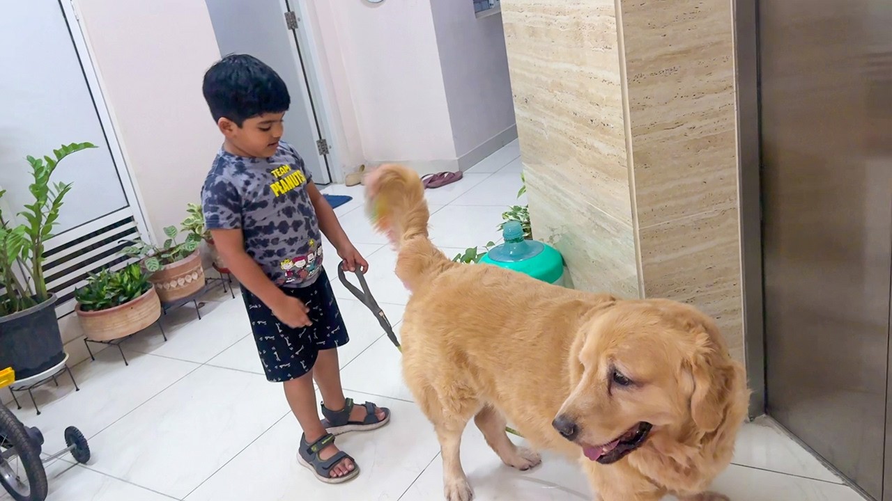 দুই ভাইয়ের খুনসুটি ভারি মজার ❤️🐶✨