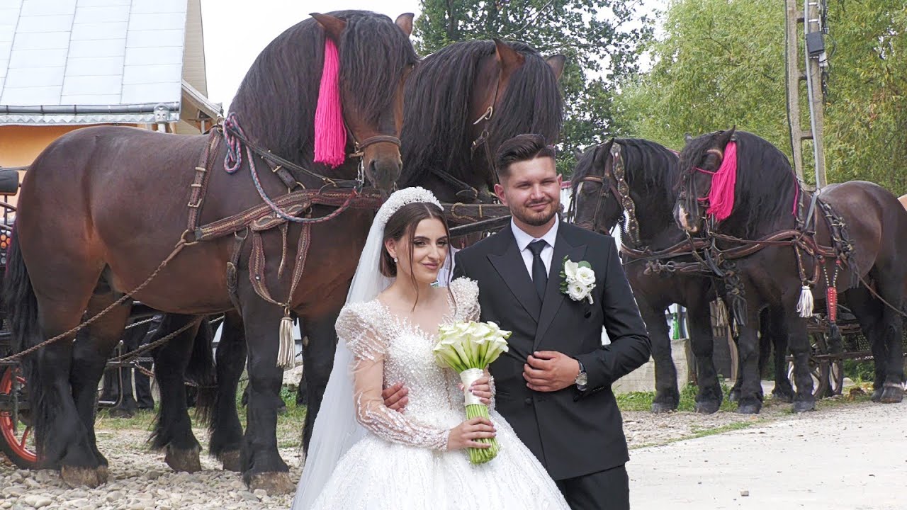 Nuntă cu cai și trăsuri în Bucovina Marian și Bianca Vicovu de Jos 22 August 2024