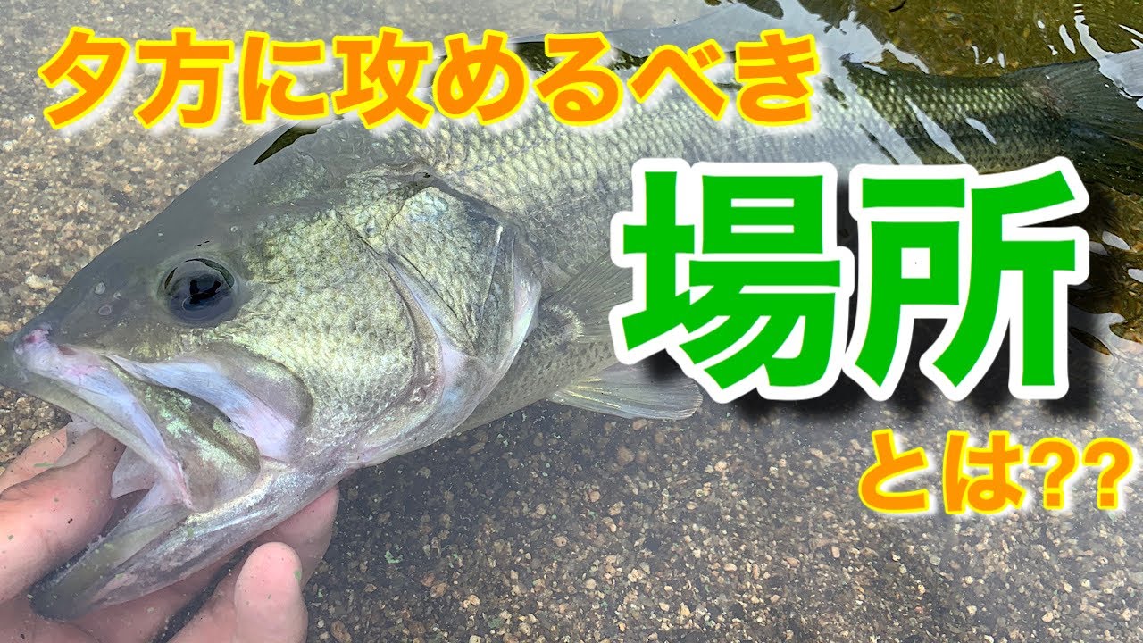 【夕方の釣り】活性が上がる夕方は、こんな場所でこんな釣りをする。数釣りながらサイズを混ぜる。【水の旅＃ １４】