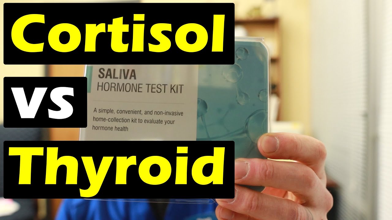 Cortisol's Negative Effects on Thyroid Function