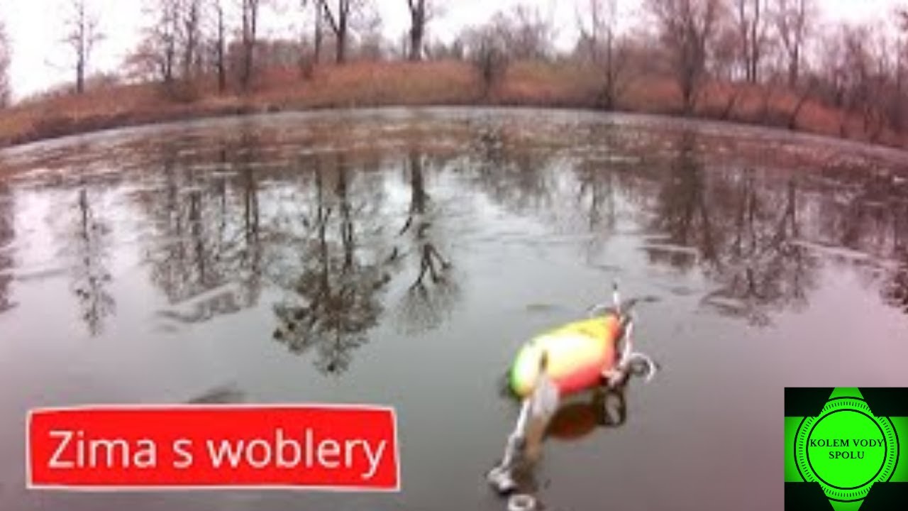 S woblery v zimě / přívlač