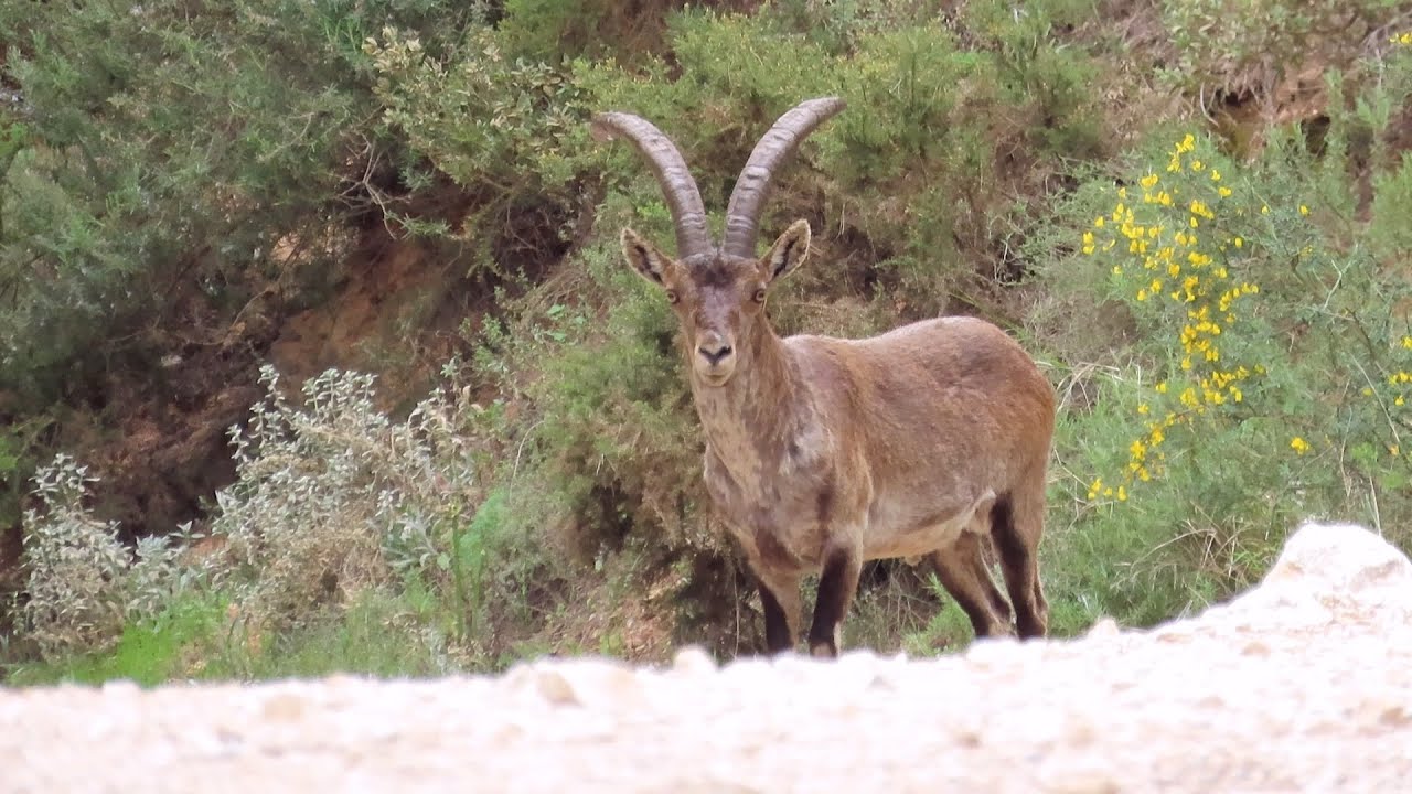 Trekking in the Sierra de Mijas