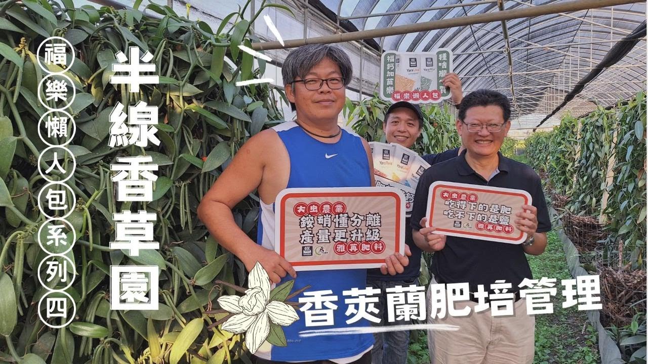 香草莢栽培簡介：香莢蘭該如何施肥？有哪些品種？如何加工？feat. 半線香草莊園【福樂懶人包農民使用心得】