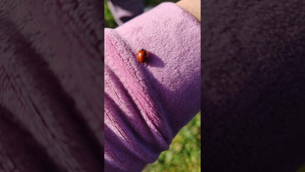 3 martie 2024 o zi la grădină 