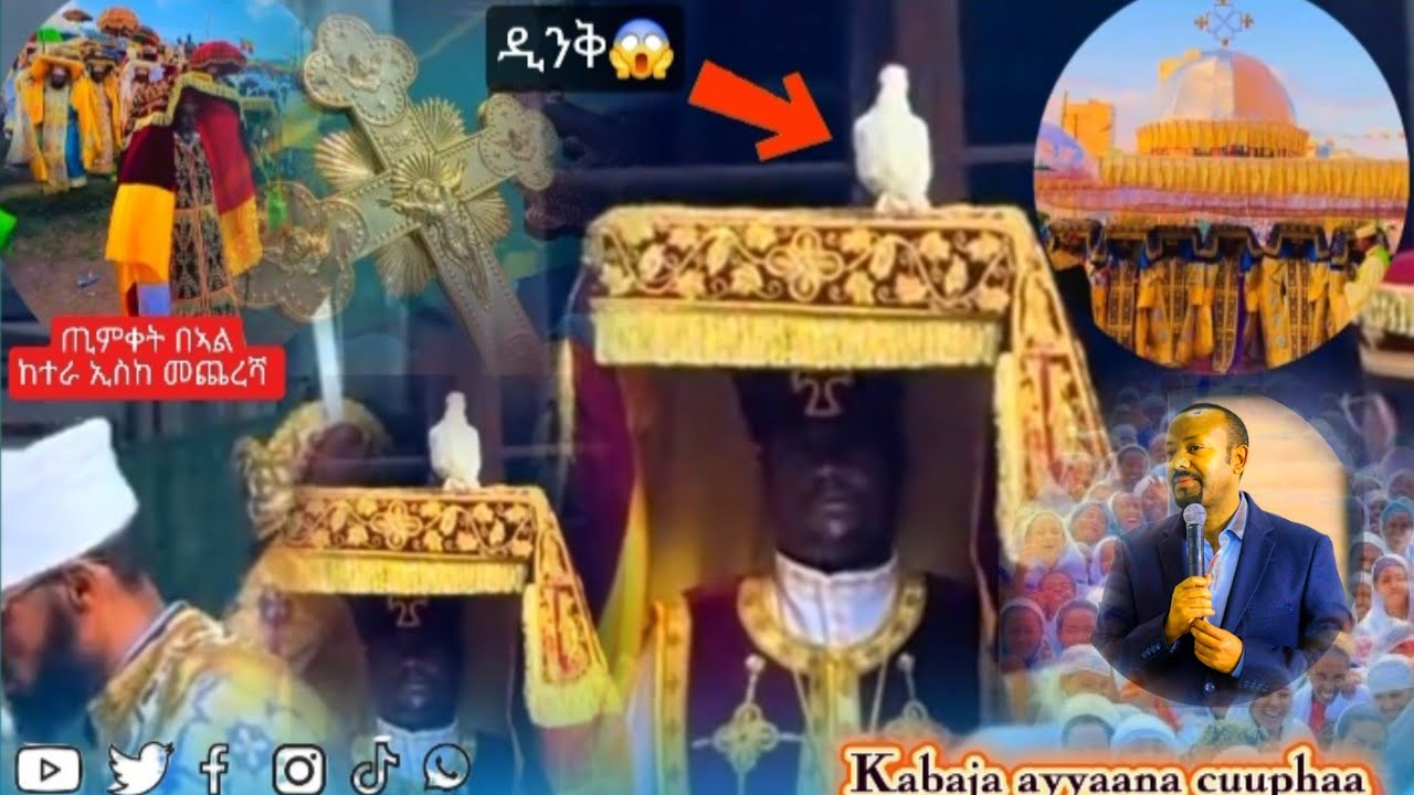 🛑ጢምቀት በኣል ና የእቢቱ ንግግረ_ከተራ ኢስከ መጨረሻ_ 𝐤𝐚𝐛𝐚𝐣𝐚 𝐚𝐲𝐲𝐚𝐚𝐧𝐚 𝐜𝐮𝐮𝐩𝐡𝐚𝐚 𝐟𝐢_ 𝑫𝒖𝒃𝒃𝒊𝒊 𝒅𝒐𝒄𝒕𝒐𝒓 𝒂𝒃𝒊𝒚