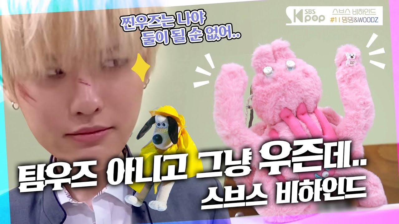 ＂안녕, 나의 아기 거미＂🕷이 구역 최강 과몰입러 #WOODZ | 스브스비하인드스토리