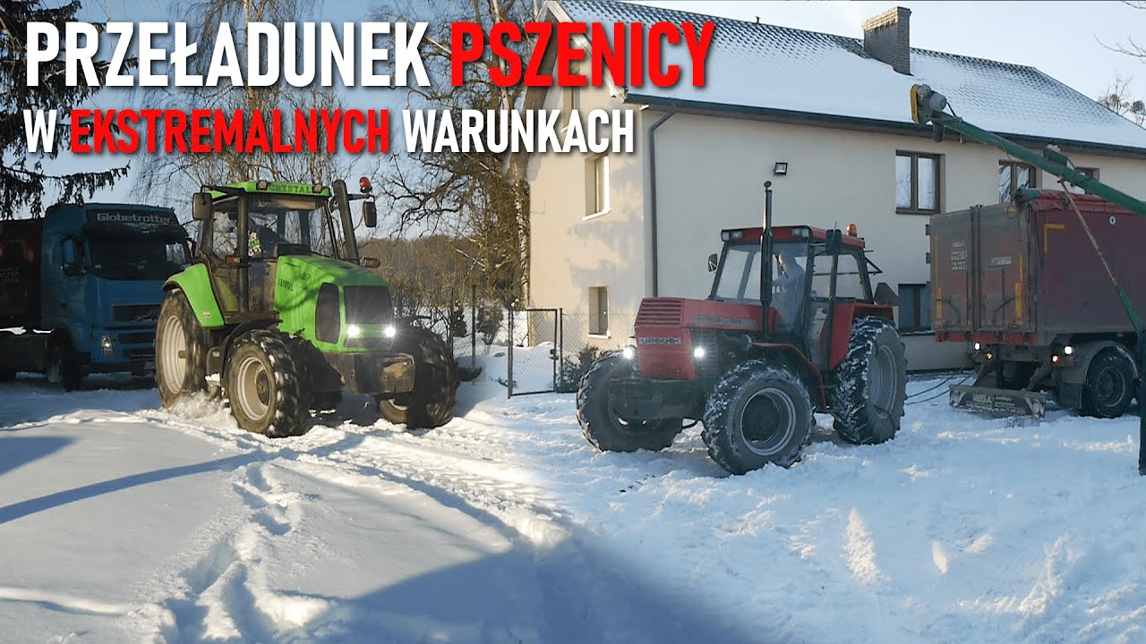 ☆PRZEŁADUNEK PSZENICY 2021!☆URSUS NIE DAŁ RADY?!☆CRYSTAL 169☆URSUS 1614☆AUTOSAN☆VOLVO☆AGROKUBA☆
