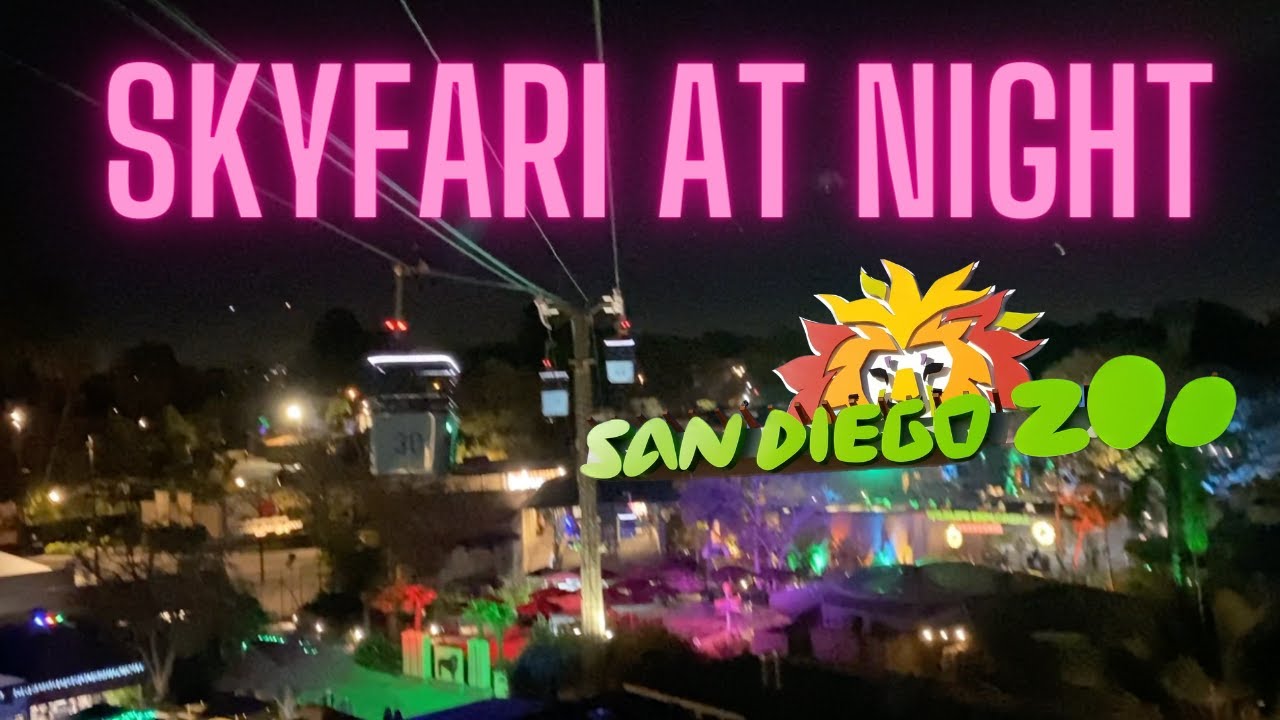 San Diego Zoo Skyfari FULL RIDE after dark during Jungle Bells