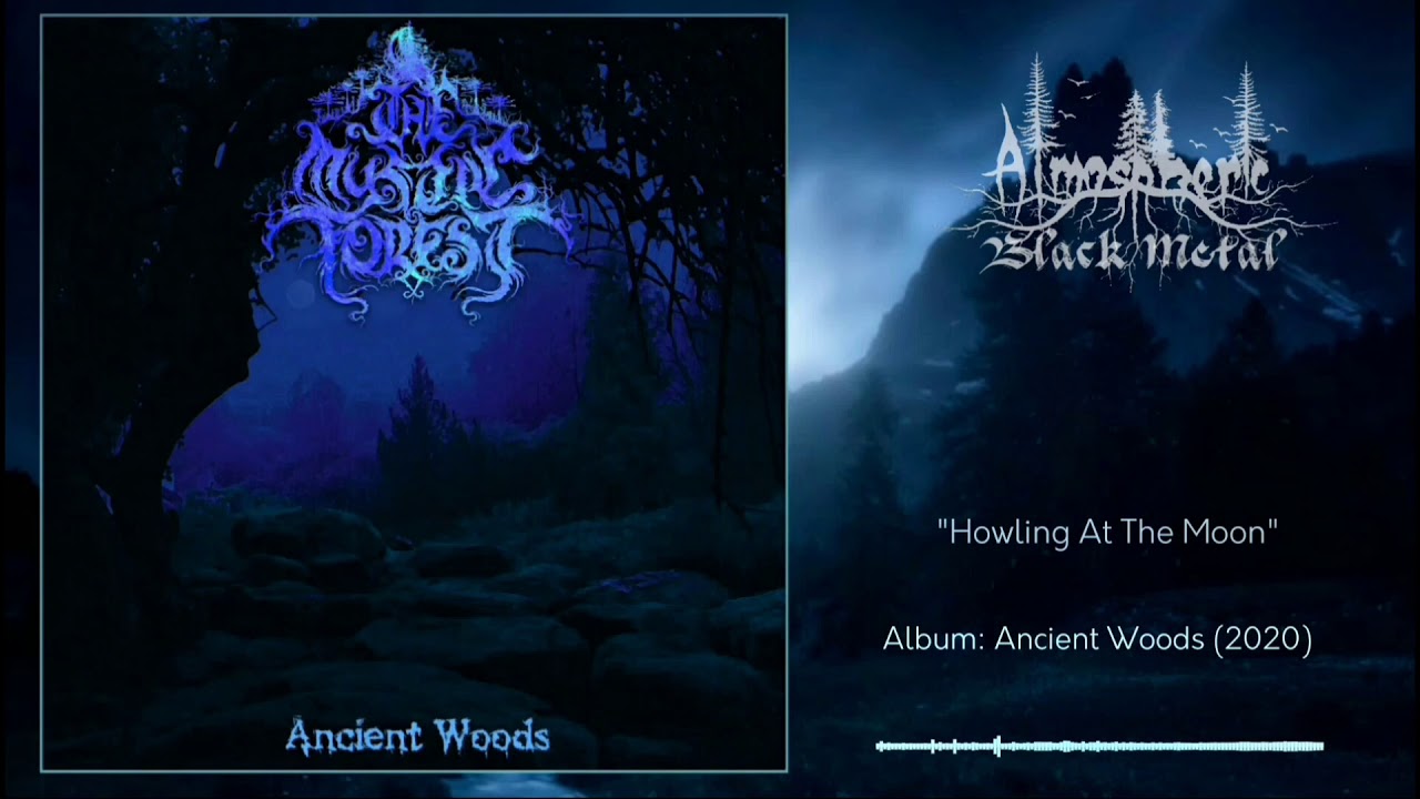 The Mystic Forest - Ancient Woods (Full Album)